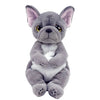 Ty - Wilfred Dog Reg