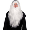 Sorcerer Wig Set