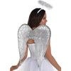 Angel Wings & Halo