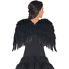 Black Feather Wings